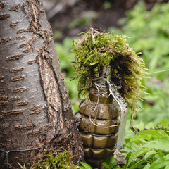Booby Trap Landmine made from hand grenade with tripwire installed on tree hidden with moss and grass