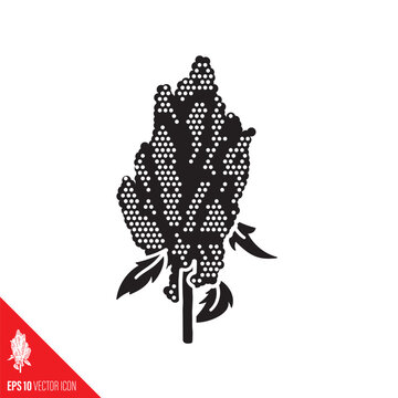 Quinoa panicle vector glyph icon