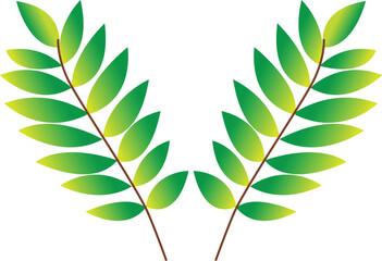 Wreath design, Leaves rustic decoration invitation card style and spring theme Vector illustration