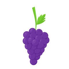 Purple Grape Vector, With Cartoon Style and White Background