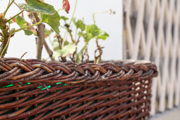 
wicker basket with flowers on the table