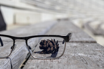 
glasses on a wooden bench and pine cones behind the glasses in the background