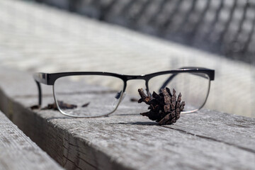 
black sunglasses on a wooden bench with a pine cone