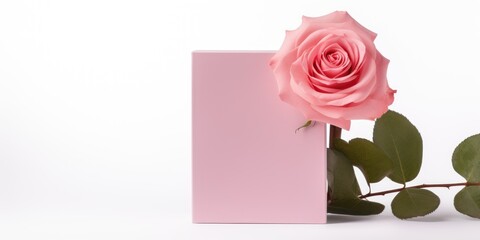 Rose tall product box copy space is isolated against a white background for ad advertising sale alert or news blank copyspace for design text photo website 