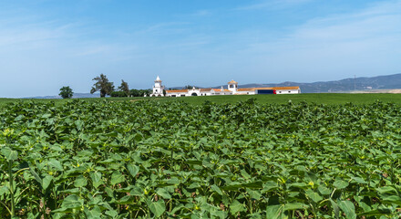 Beautiful old agricultural farm in Spain. Rural landscape with green fields located in the rural...
