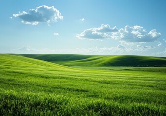 Fototapeta premium Green rolling hills under blue sky and white clouds