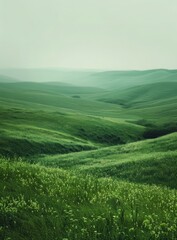 Fototapeta premium Green rolling hills of Tuscany, Italy