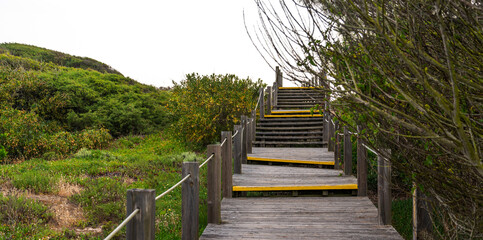 Wooden path along the coast of atlantic ocean. Ideal for trekking. Beautiful landscape along the...