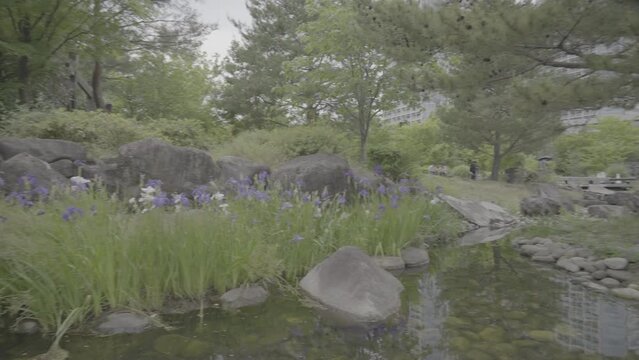二子玉川公園 帰真園 池【log撮影】
