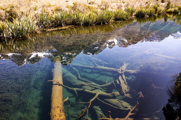 Reflections off Mirror Lakes on Milford Sound Highway near Te Anau Fiordland New Zealand