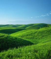 Obraz premium Green rolling hills under blue sky