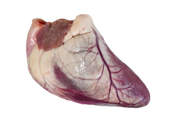 Close-up with a real animal heart on a white background