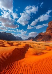 Naklejka premium The vast and desolate beauty of the desert landscape