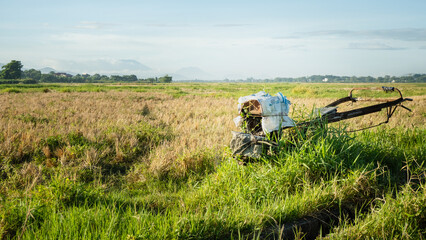 Old trctor in the rice field