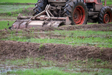 selective tractor plowing soil in rice fields It's about to be rice planting season in the rice...
