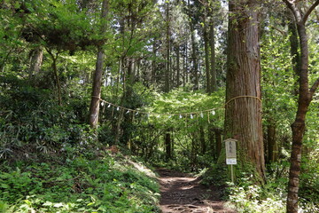 日本　茨城の風景