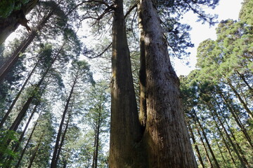 日本　茨城の風景