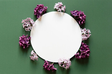 White circle with a lilac flowers on a green background. Flat lay, top view. Happy mother's day,...