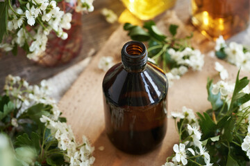 A brown bottle of herbal tincture with fresh hawthorn or Crataegus laevigata flowers