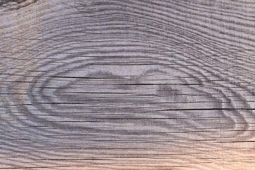 Old wood texture use as background. Closeup of wooden surface.