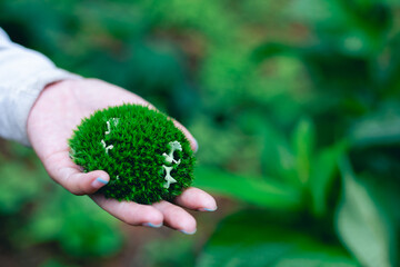 Selective focus moss ball in hands holding a green heart-shaped tree love nature save the world...