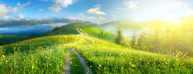 A pristine path winds through a lush green mountain meadow at sunrise. The morning light bathes the landscape in a soft glow, emphasizing tranquility and freshness.