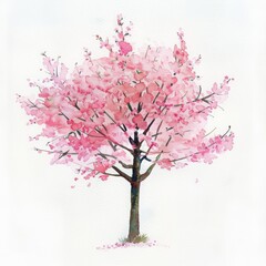 A tiny watercolor of a cherry blossom tree in full bloom, radiating tranquility on an isolated white background