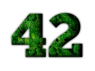 Design number 42 with leaf texture on white background.