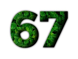 Design number 67 with leaf texture on white background.