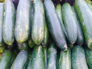 Closeup of Cucumbers on the market