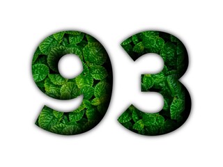 Design number 93 with leaf texture on white background.