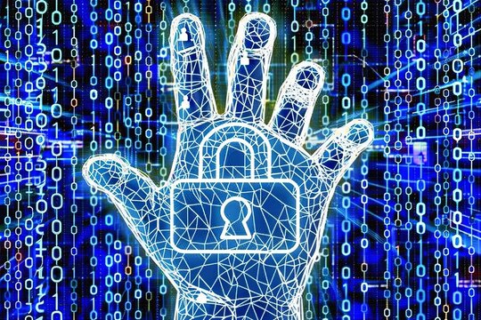 Integrate HTTPS and padlock security in business networks to safeguard data and privacy, using API and OAuth to provide robust protection against malware.