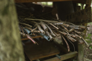 森の中の資材置き場　薪　燃料