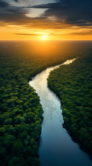 Fototapeta premium Aerial view of rainforest and river