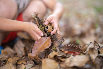 落ち葉で遊ぶ子ども