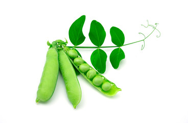 グリーンピース