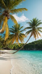 Obraz premium palm trees on the beach