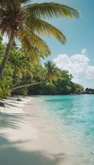 Fototapeta premium palm trees on the beach