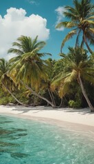Obraz premium palm trees on the beach
