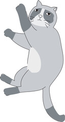 Cute cartoon siamese cat on transparent background.
