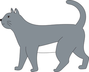 Cute cartoon gray cat on transparent background.
