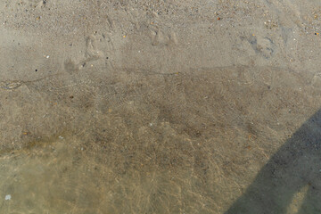 Soft ocean wave on sandy beach and shadow