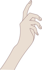 Hand doodle illustration on transparent background.
