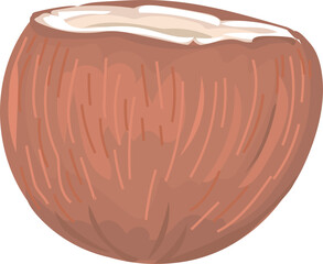 Cartoon coconut illustration on transparent background.
