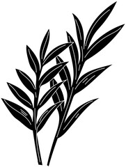 Rosemary icon illustration on transparent background.
