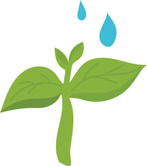 Cartoon plant growth illustration on transparent background.
