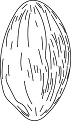 Hand drawn cocoa on transparent background.
