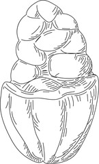 Hand drawn cocoa on transparent background.
