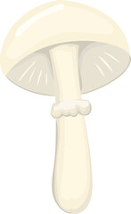 Mushroom illustration on transparent background.
