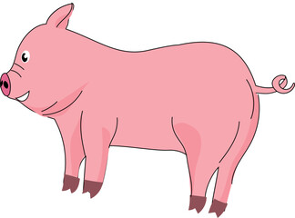 Cartoon cute pig illustration on transparent background.
